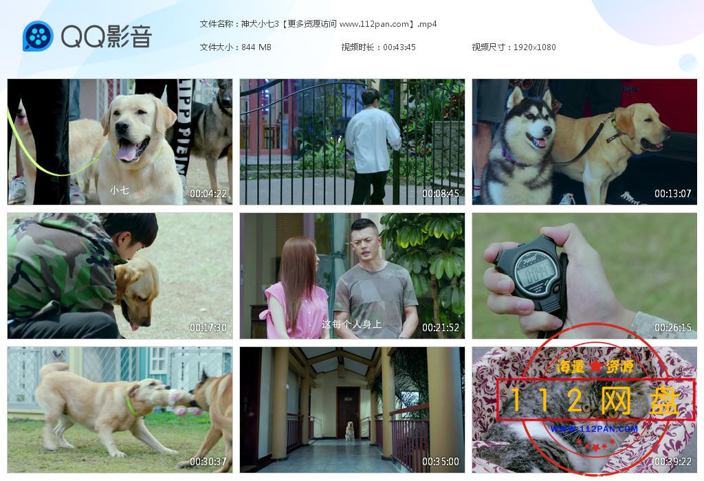 神犬小七百度云资源