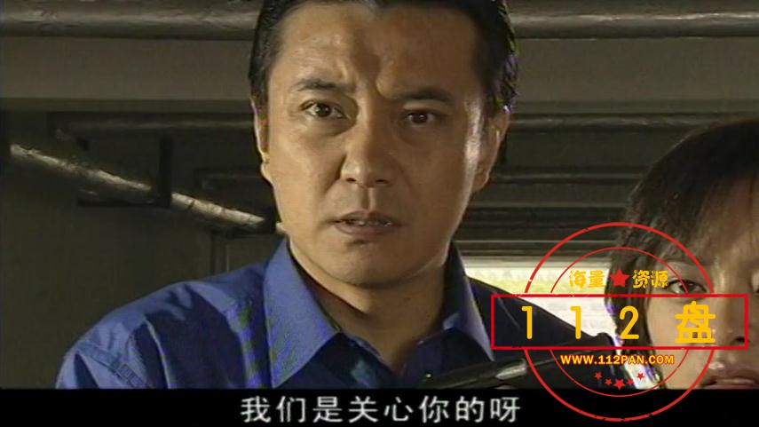 亲情树百度网盘下载