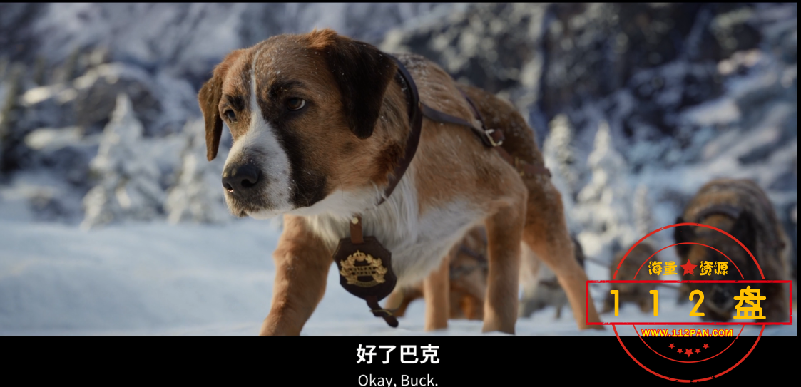 捕获.PNG