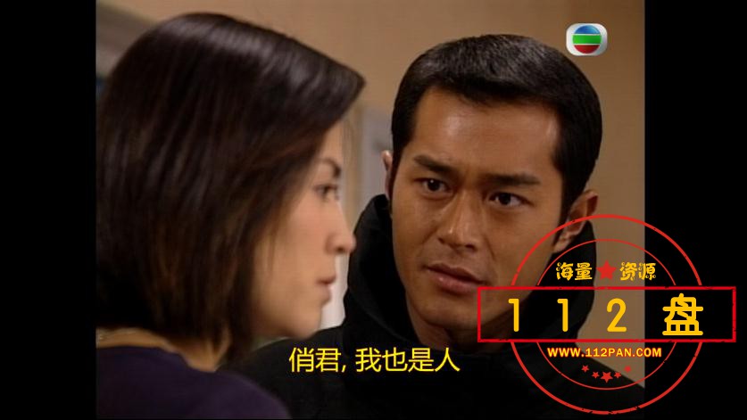TVB剧刑事侦缉档案4网盘资源