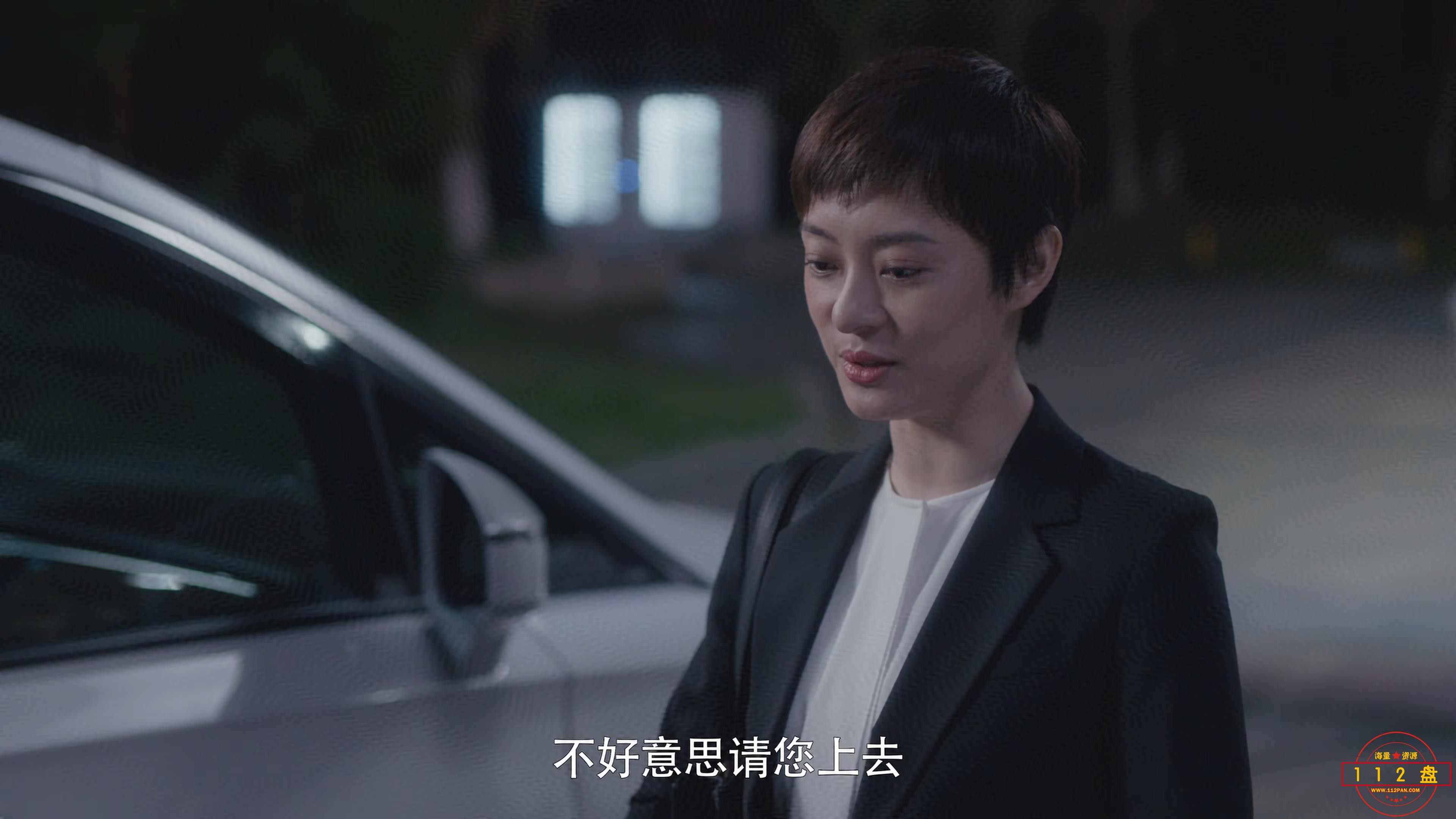 电视剧安家下载