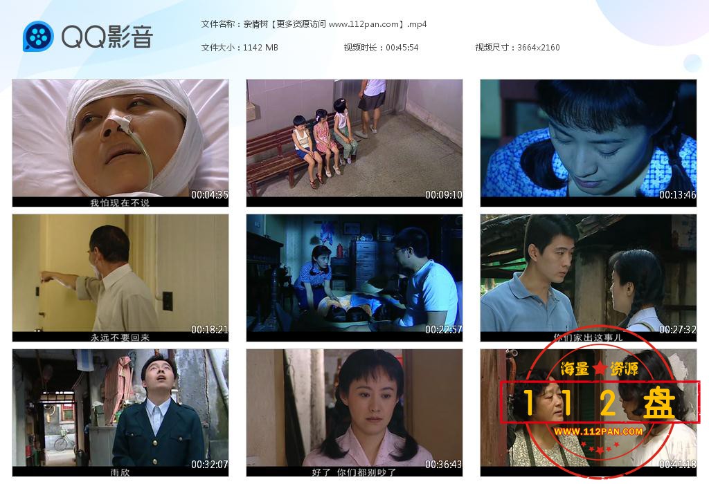 亲情树迅雷下载