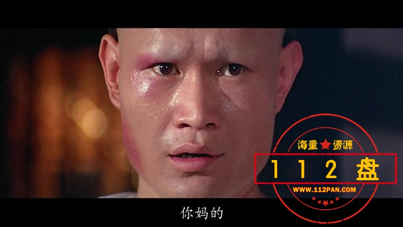 败家仔百度网盘下载