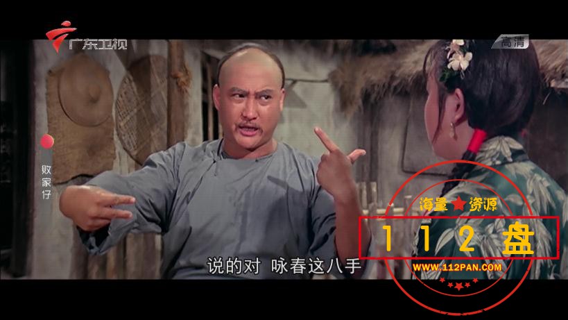 败家仔百度网盘下载