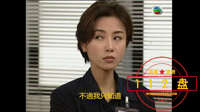 廉政追缉令百度网盘下载