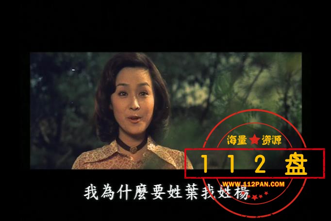 海鸥飞处下载