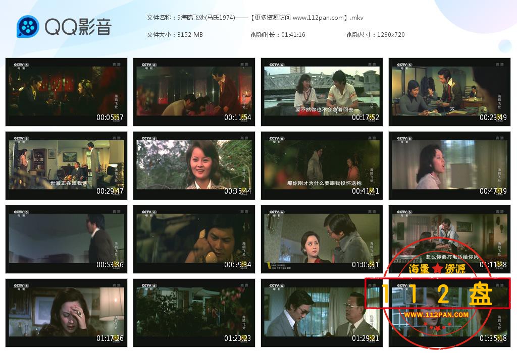 海鸥飞处在线观看