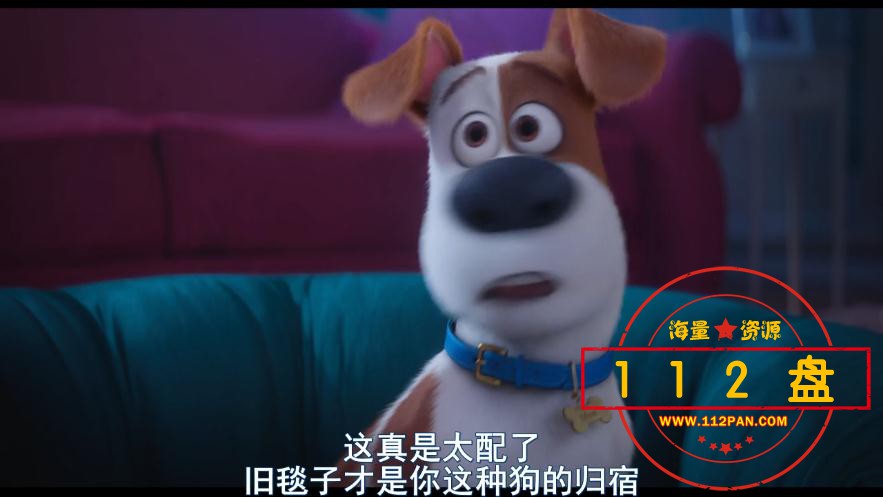 ,爱宠大机密高清下载