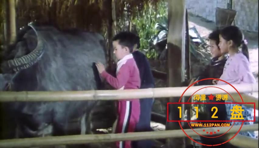应声阿哥-高清完整版在线观看-电影网.mp4_20210825_174016628.jpg