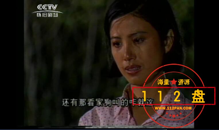 篱笆女人和狗下载
