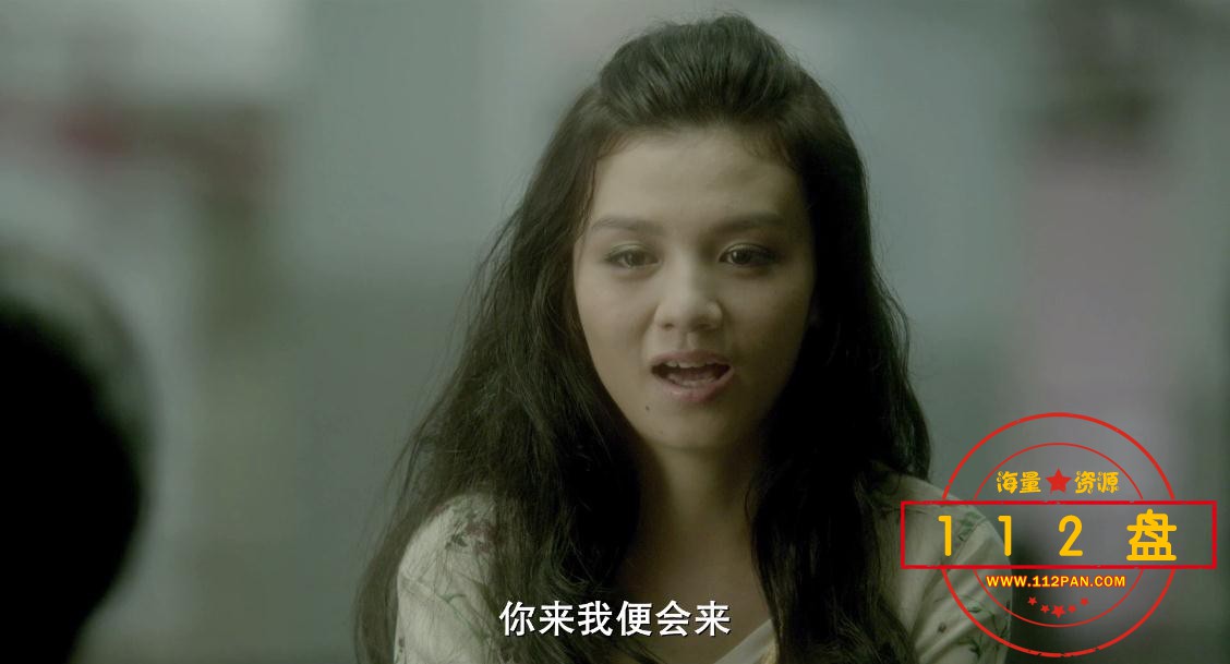踏血寻梅百度网盘资源