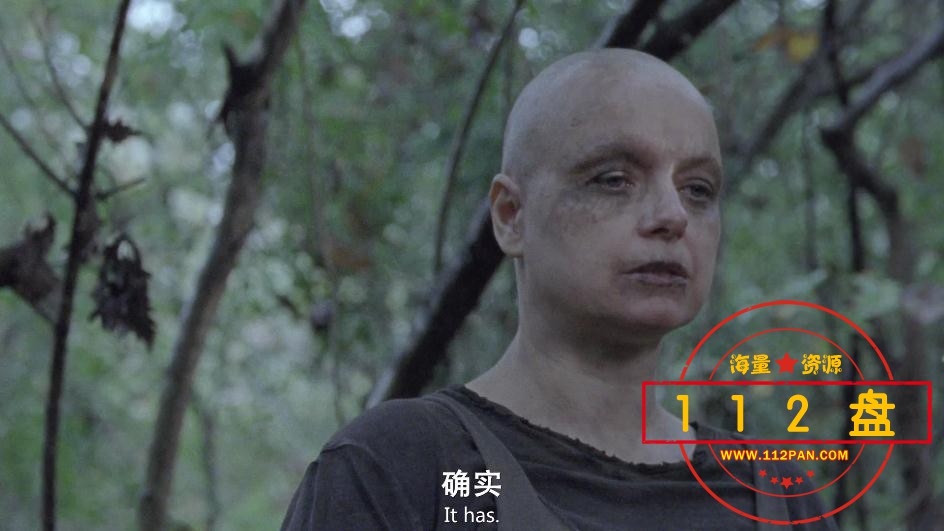 电视剧行尸走肉下载