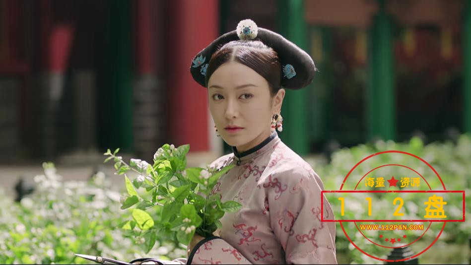 延禧攻略网盘资源下载