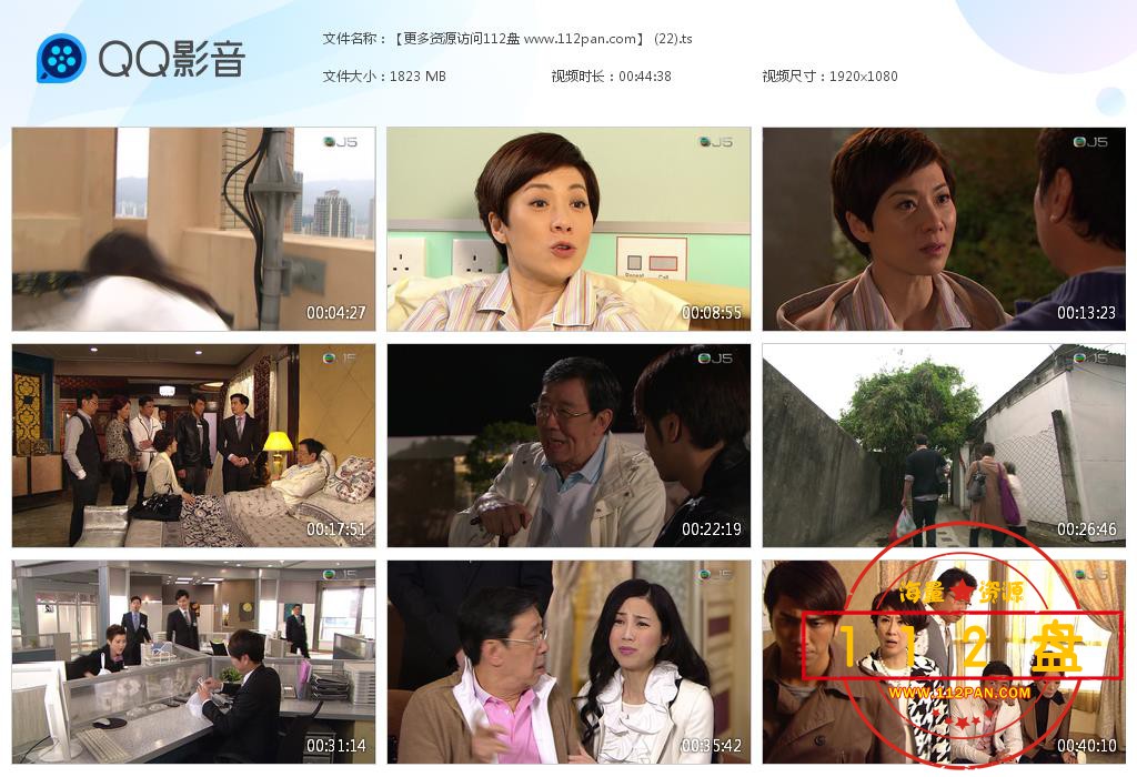 VB剧法证先锋百度云资源