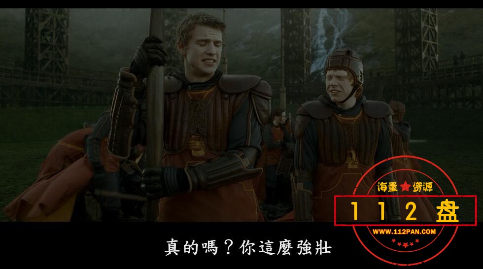 电影哈利波特系列网盘资源,