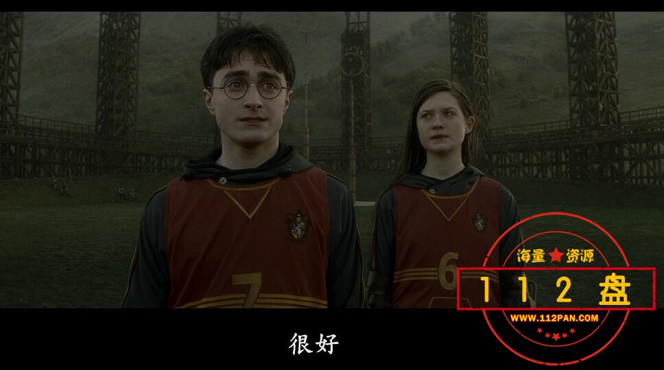 电影哈利波特系列网盘资源,