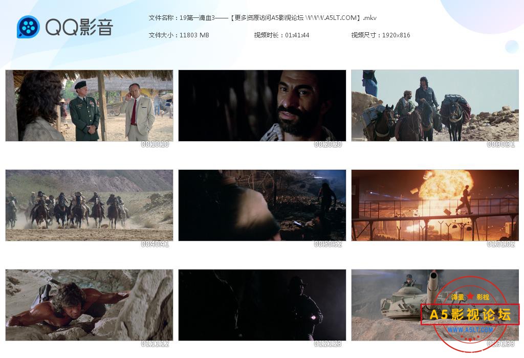 ,电影第一滴血网盘资源