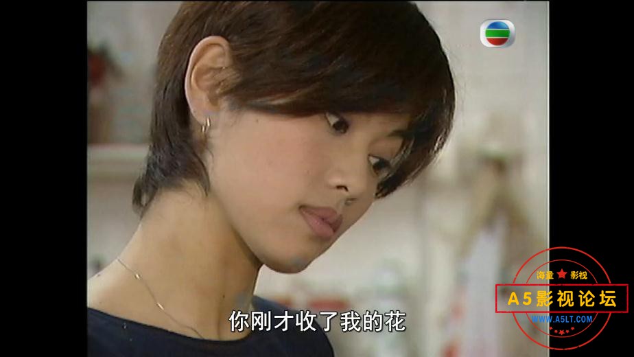 TVB剧水饺皇后下载