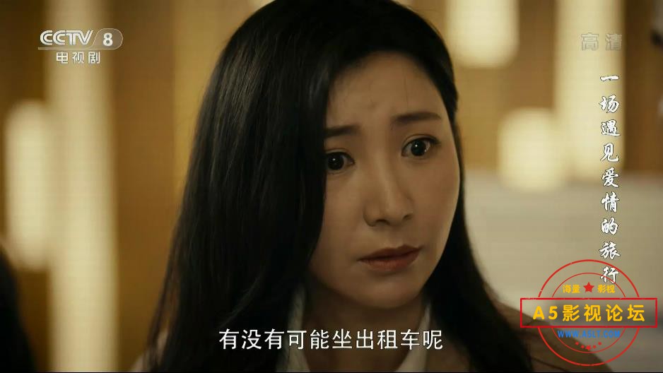 一场遇见爱情的旅行网盘资源下载