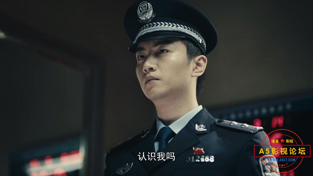 电视剧一场遇见爱情的旅行网盘资源