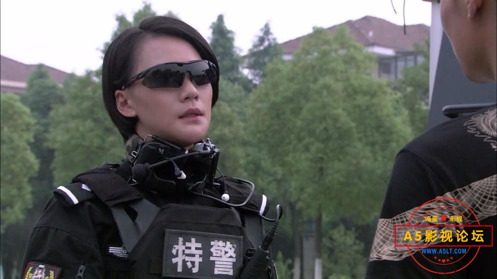 电视剧特警力量下载