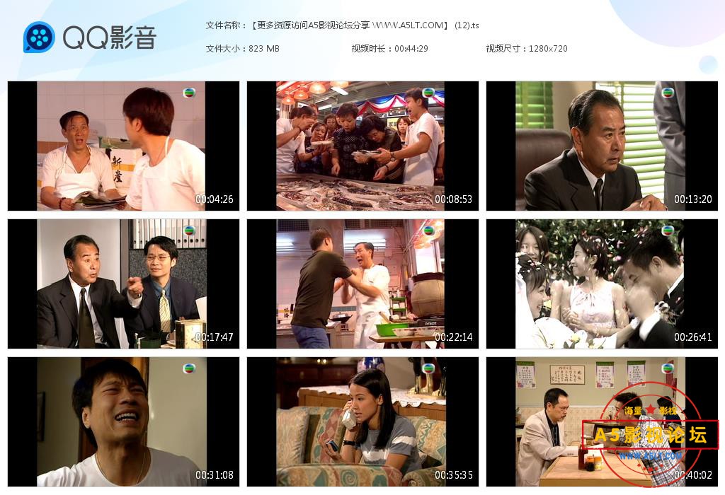 TVB剧反黑先锋粤语迅雷云盘下载