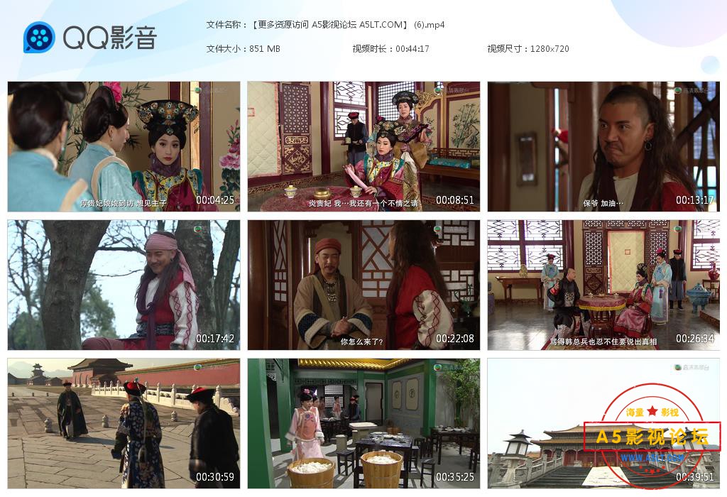 TVB剧张保仔迅雷在线观看