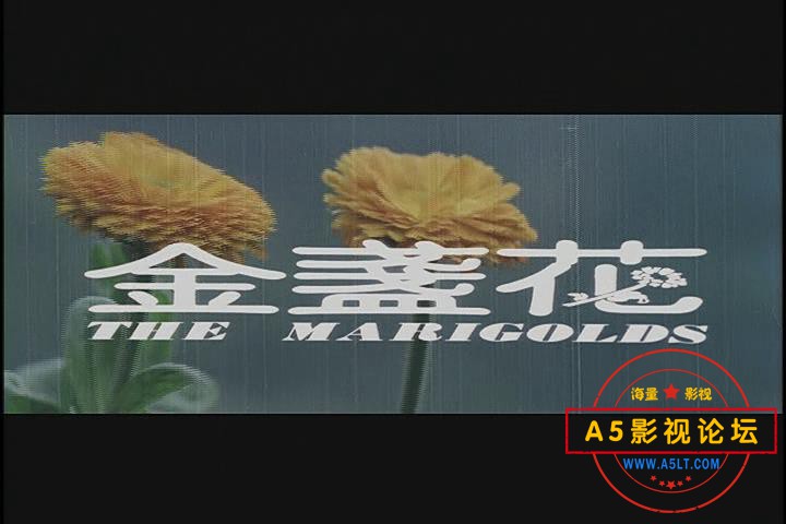 暴风截图202112209969375.jpg