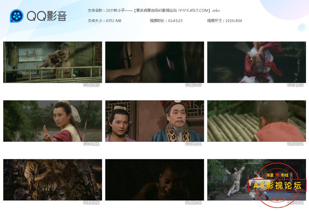 少林小子百度网盘下载