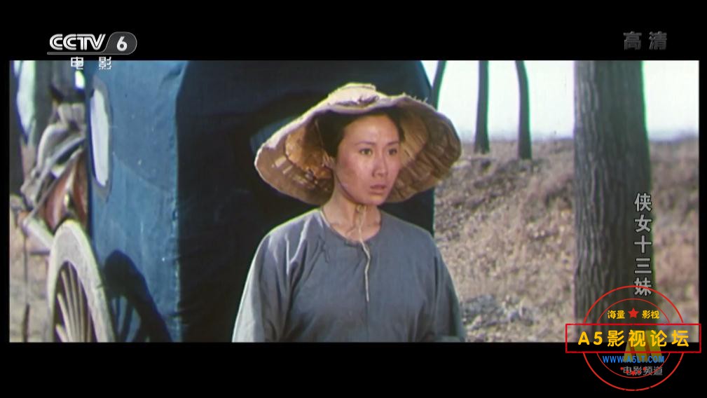 电影侠女十三妹下载