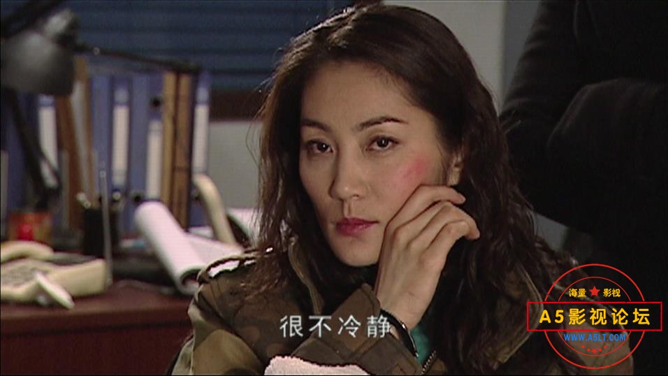 电视剧重案六组下载