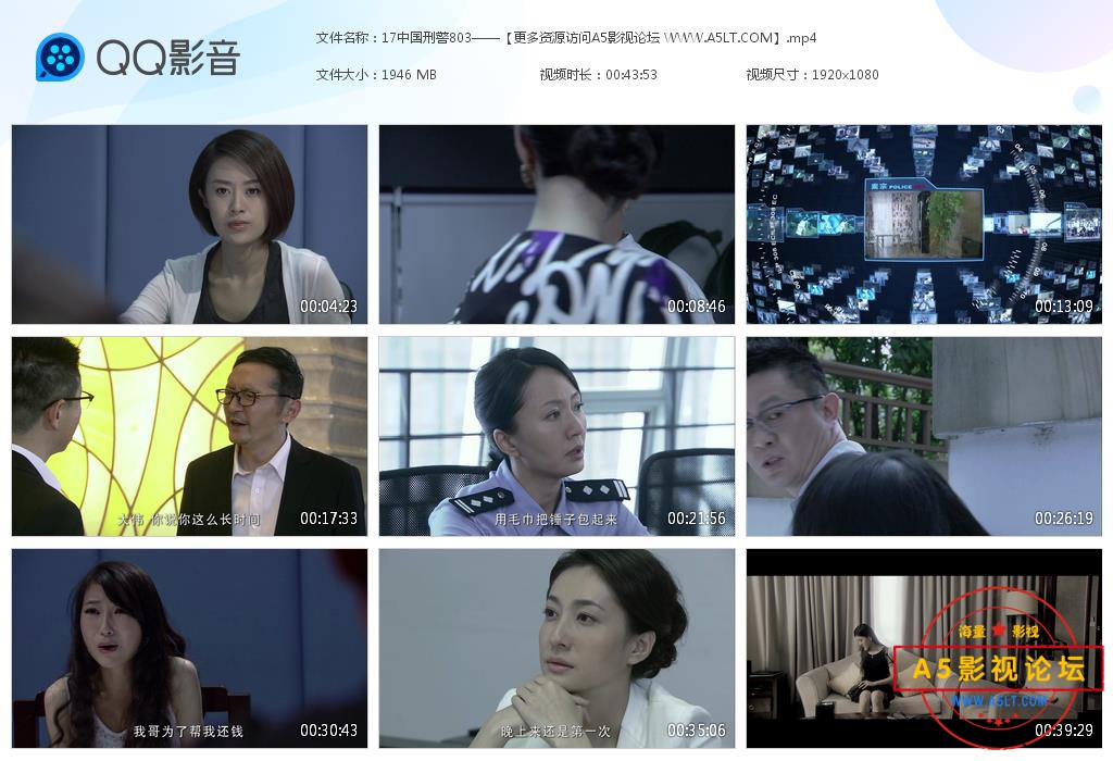 中国刑警803网盘下载