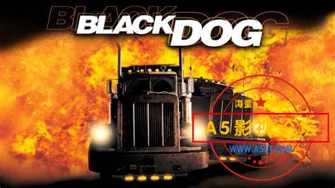 Black Dog 1.jpg