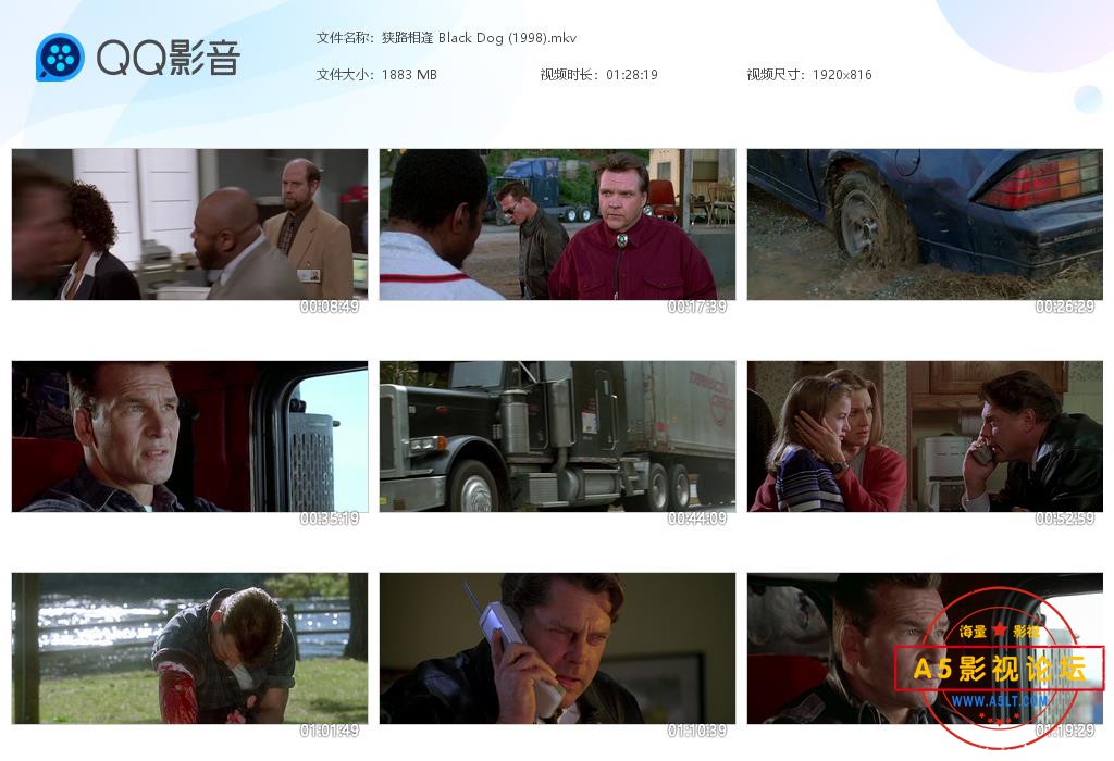 狭路相逢 Black Dog.jpg