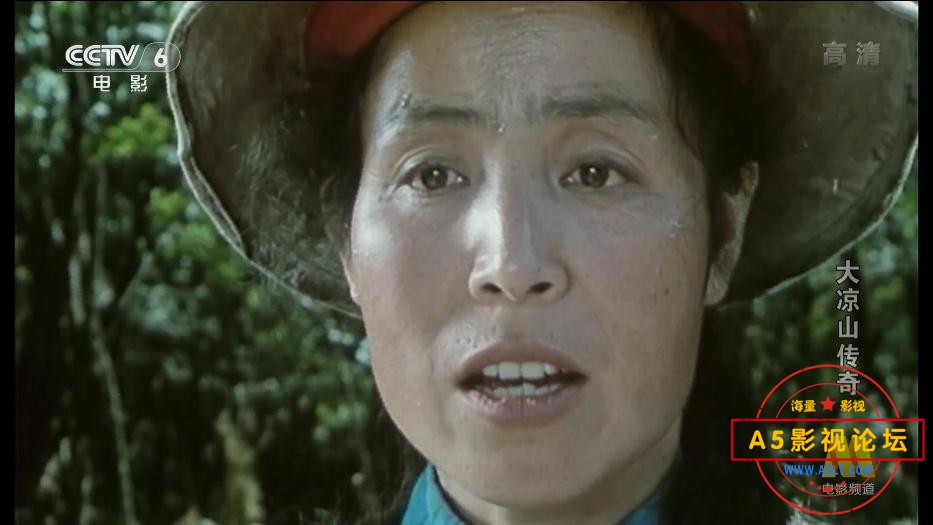 国产老电影大凉山传奇2网盘资源