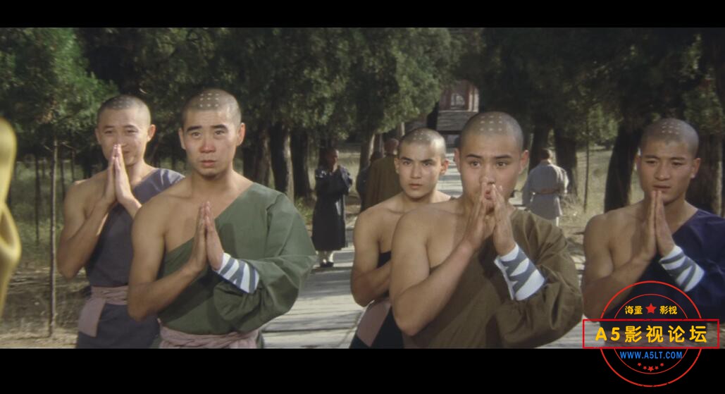 老电影少林寺迅雷云盘下载