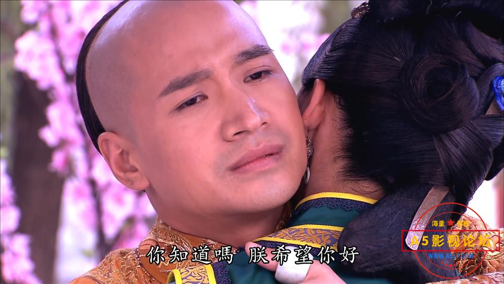 电视剧宫锁珠帘网盘下载