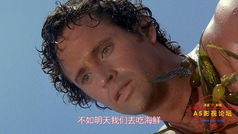空前绝后满天飞迅雷云盘下载