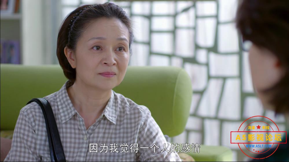 电视剧二胎下载