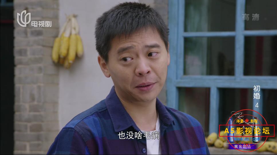 电视剧初婚网盘下载