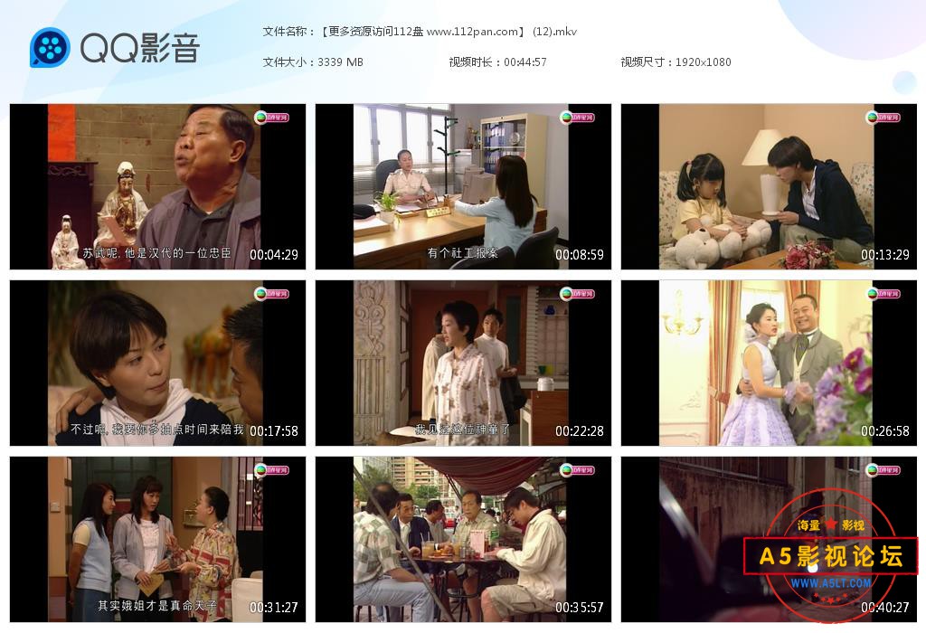 TVB剧陀枪师姐云资源
