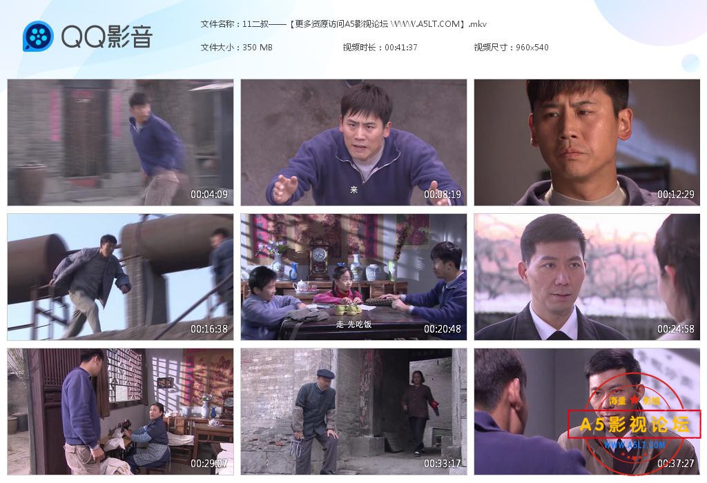 电视剧二叔网盘下载