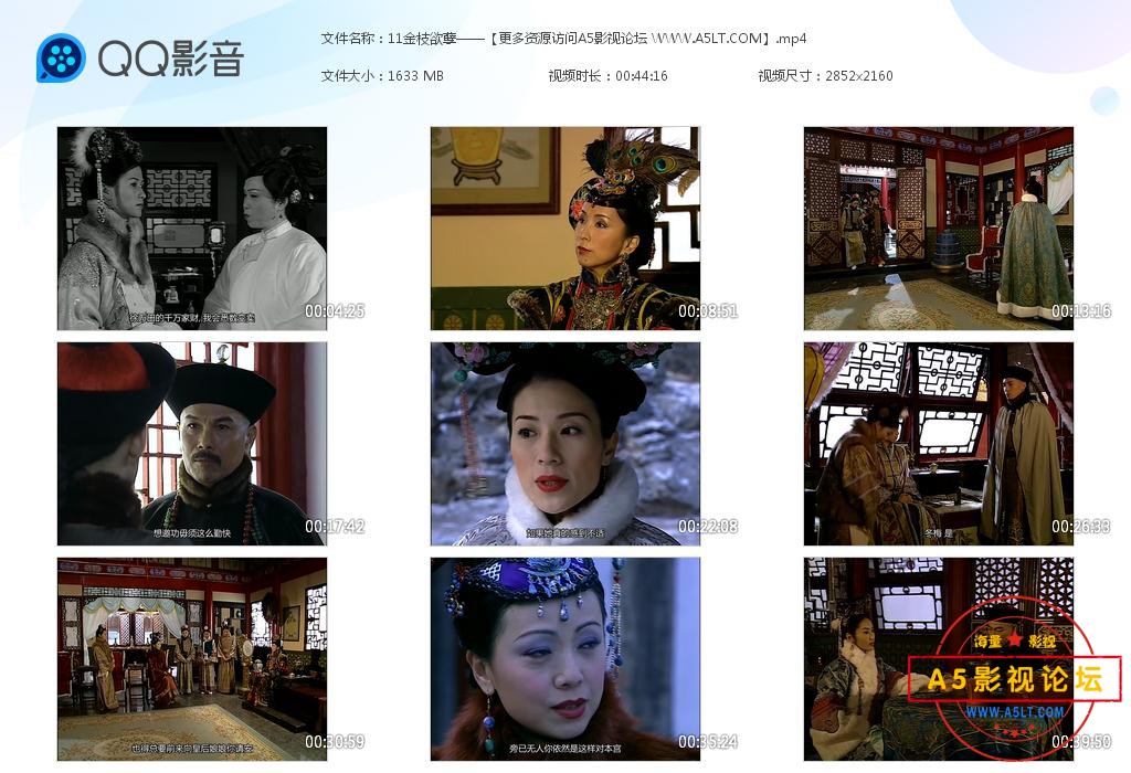 TVB剧金枝欲孽云资源