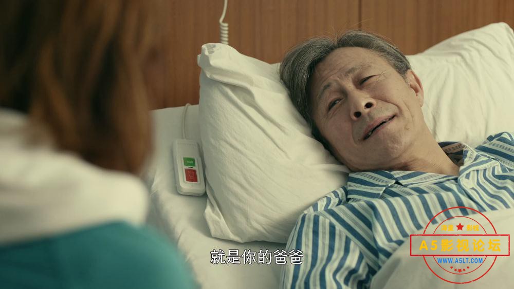 一场遇见爱情的旅行迅雷云盘下载