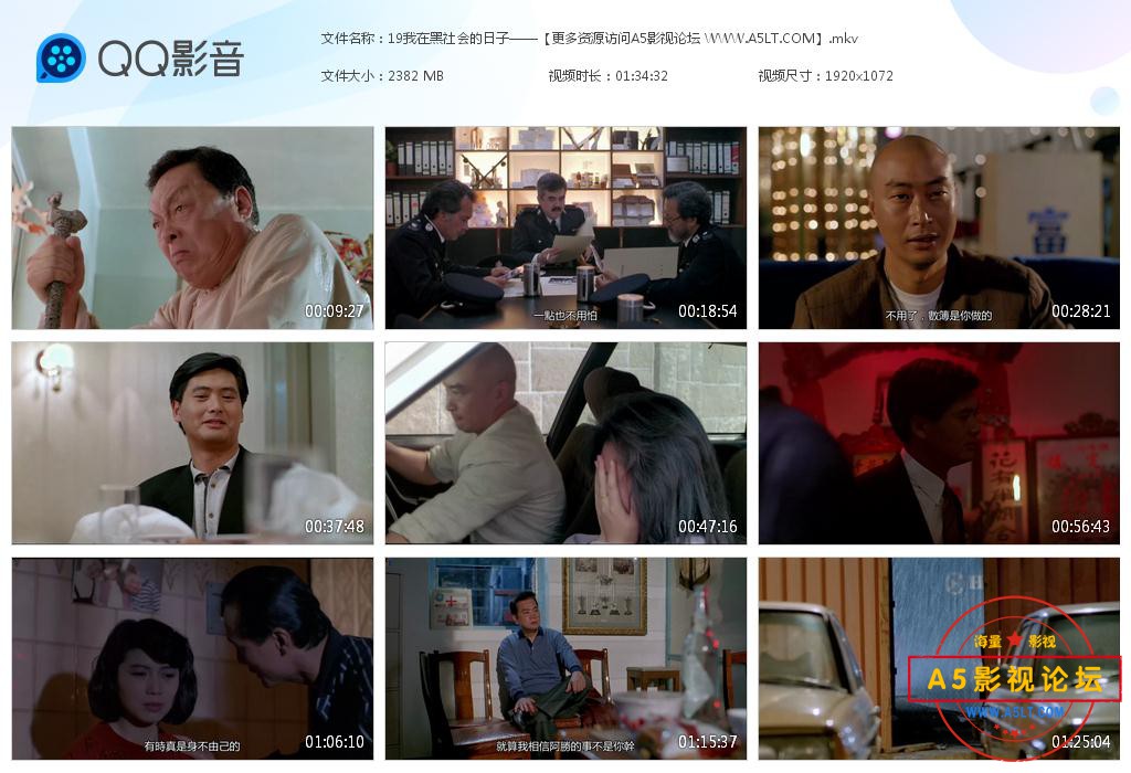 我在黑社会的日子迅雷云盘下载
