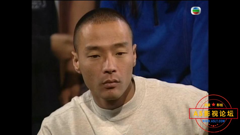 TVB剧保护证人组下载