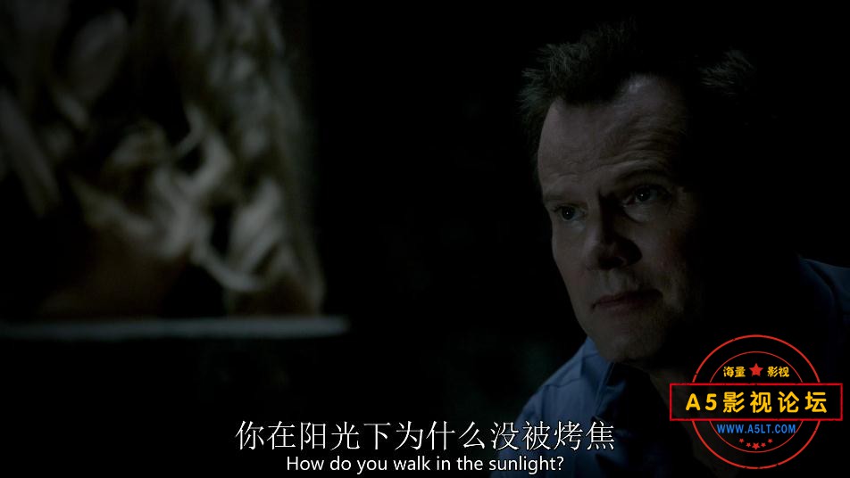 电视剧吸血鬼日记下载,