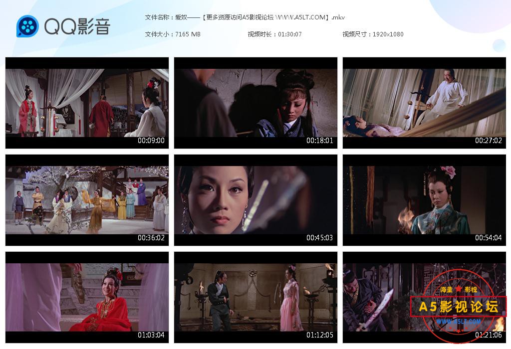 爱奴高清下载