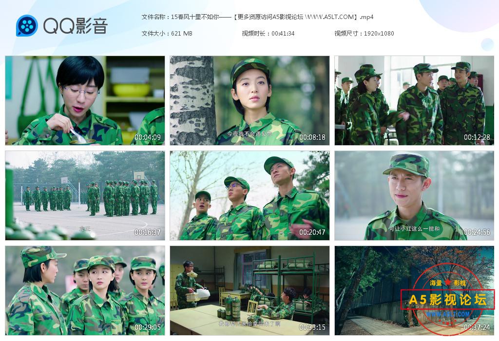 电视剧春风十里不如你迅雷下载