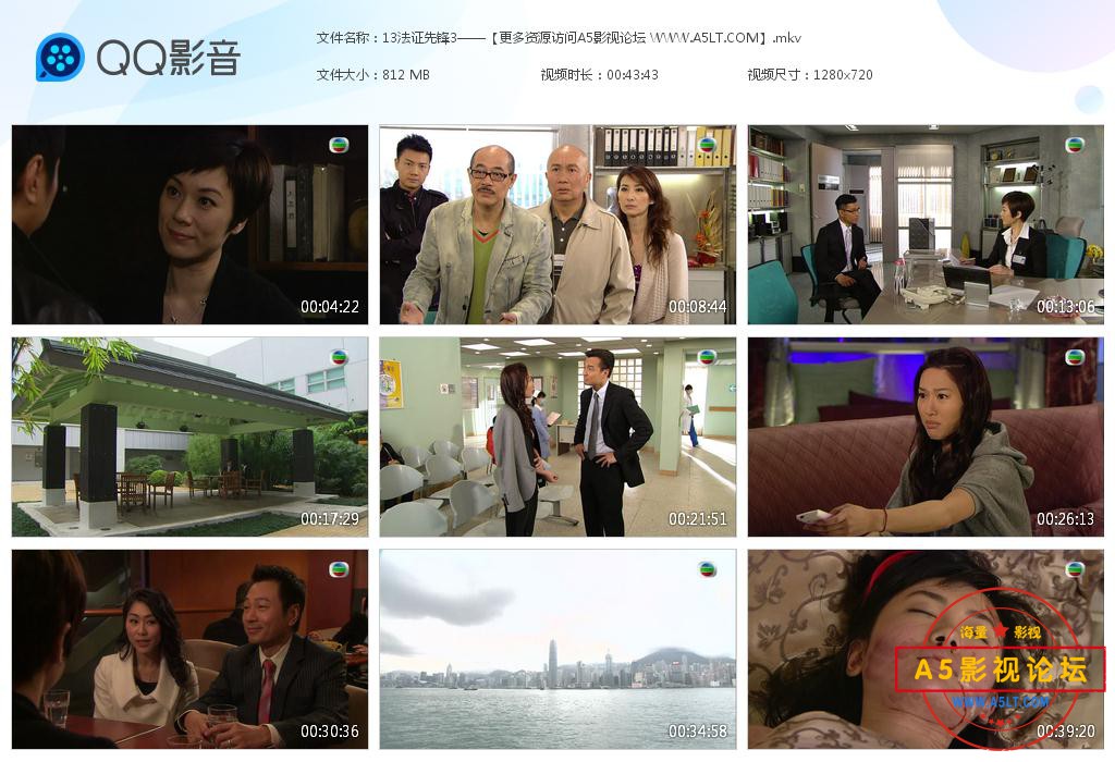 TVB剧法证先锋粤语你迅雷下